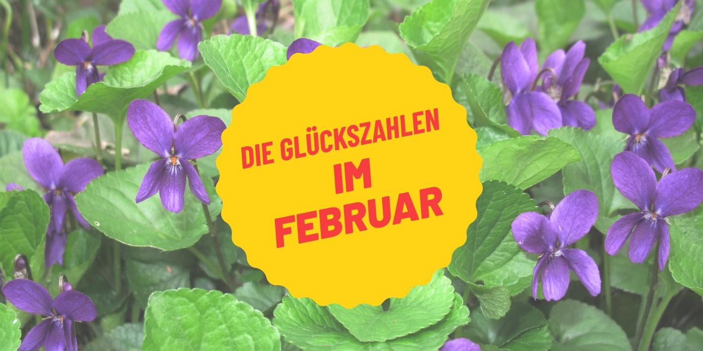 Wassermann & Fische: Die Februar-Sternzeichen im Glücks-Check