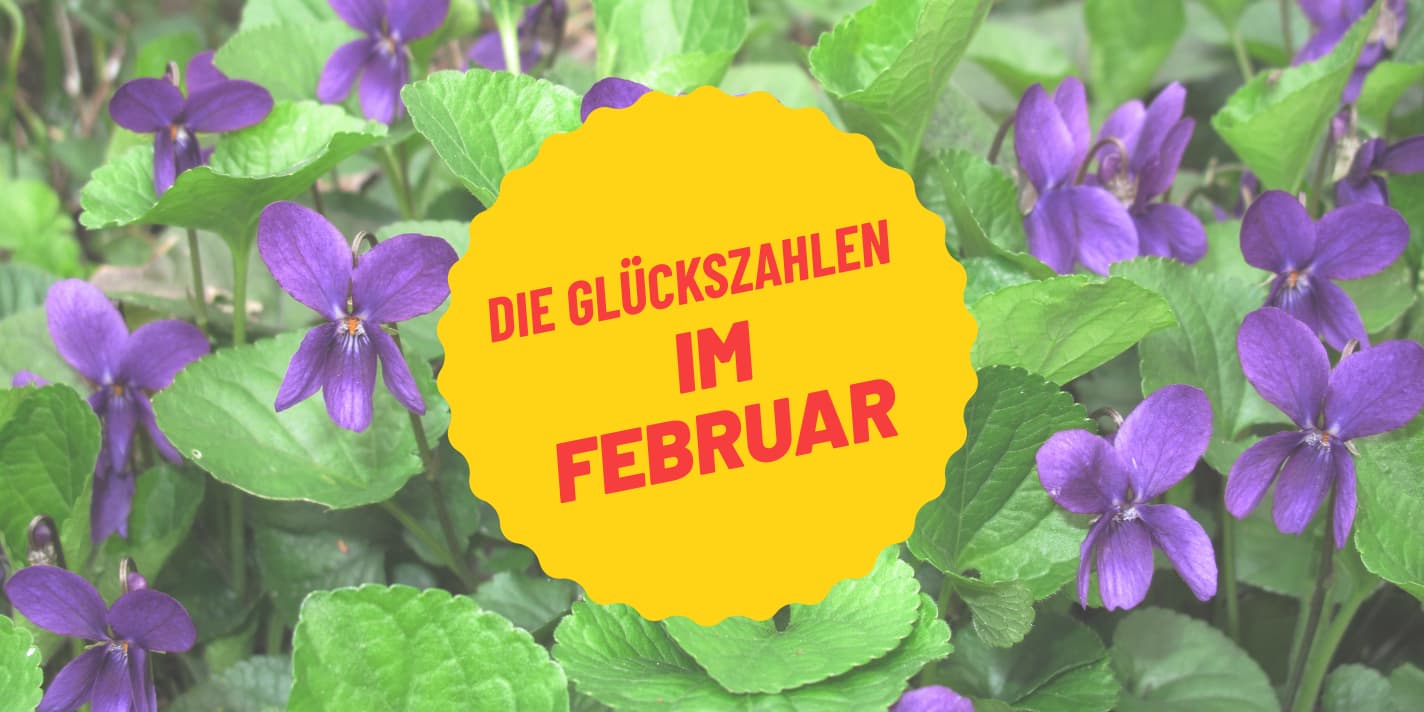 Wassermann & Fische: Die Februar-Sternzeichen im Glücks-Check
