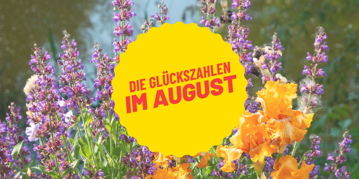 Spätsommer-Vibes: August-Sternzeichen und ihre Glückszahlen