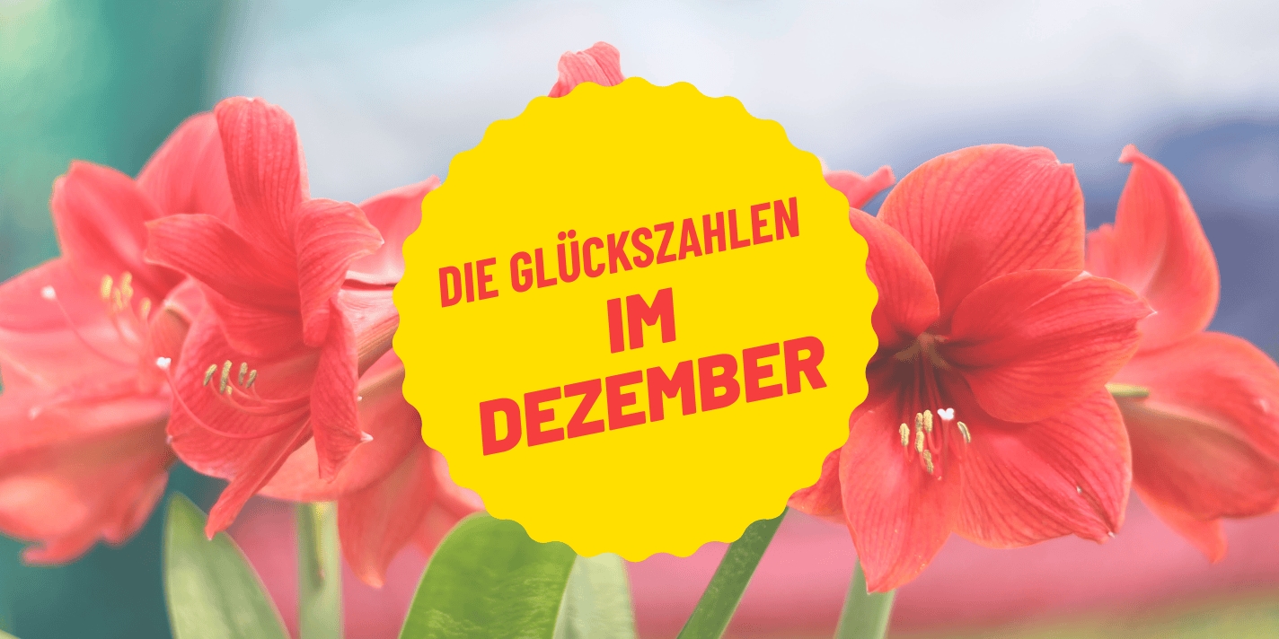 Schütze & Steinbock: Die Dezember-Sternzeichen im Glücks-Check